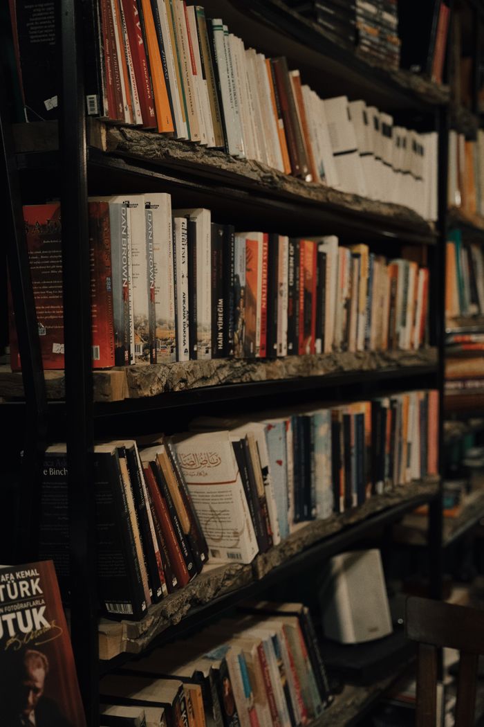 Bookshelves filled with an array of books in a warm, cozy bookstore setting.